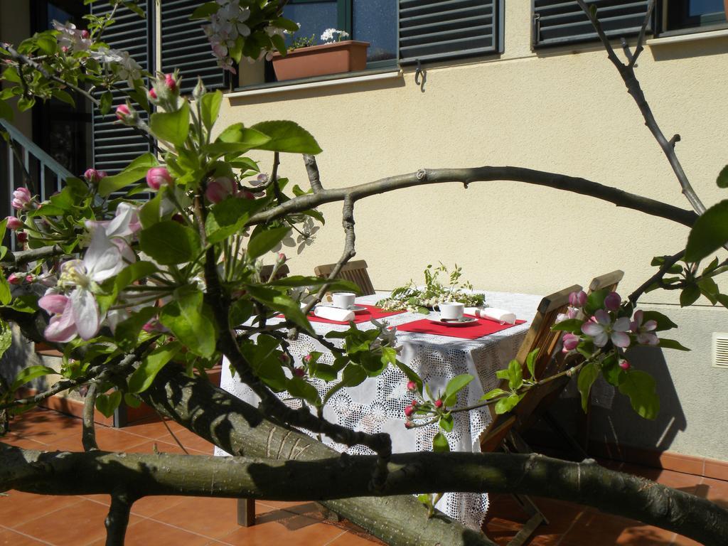 El Jardin De Los Gatos Apartament Cáceres Exterior foto